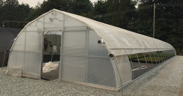 BW Freestanding Greenhouses | BW Greenhouse