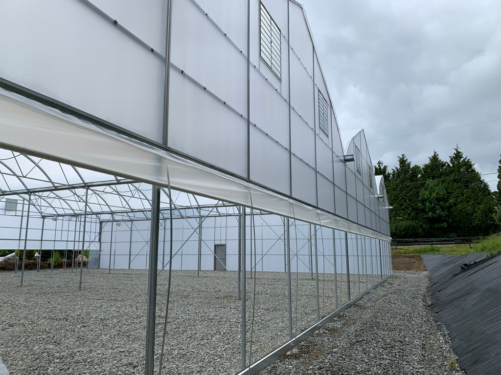 Gutter Connected Greenhouse | Greenhouse Types | BW Greenhouse